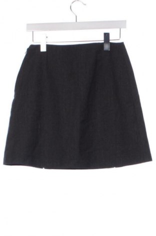 Fustă Dynafit, Mărime XS, Culoare Gri, Preț 218,96 Lei