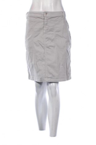 Fustă Miss Etam, Mărime 3XL, Culoare Gri, Preț 109,99 Lei