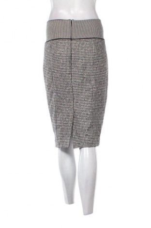 Fustă Rena Lange, Mărime M, Culoare Multicolor, Preț 126,83 Lei