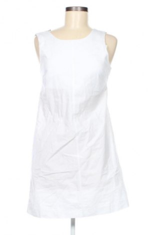 Sukienka Calvin Klein, Rozmiar XXS, Kolor Biały, Cena 452,99 zł, #135160090