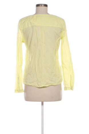 Γυναικεία μπλούζα Opus Someday Is Today, Μέγεθος S, Χρώμα Κίτρινο, Τιμή 4,99 €