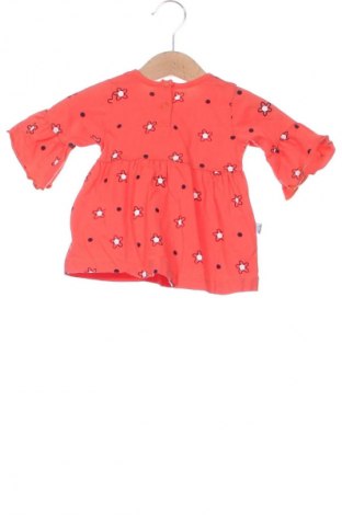 Kinderkleid Bebe, Größe 6-9m/ 68-74 cm, Farbe Orange, Preis 3,99 €