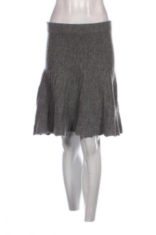 Φούστα Reserved, Μέγεθος L, Χρώμα Γκρί, Τιμή 3,99 €