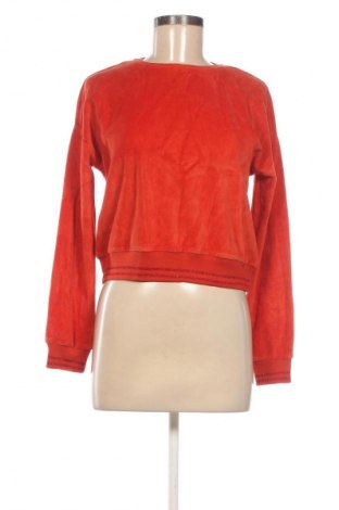 Γυναικεία μπλούζα Diverse, Μέγεθος XS, Χρώμα Κόκκινο, Τιμή 3,99 €