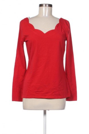Damen Shirt Esprit, Größe L, Farbe Rot, Preis 17,00 €