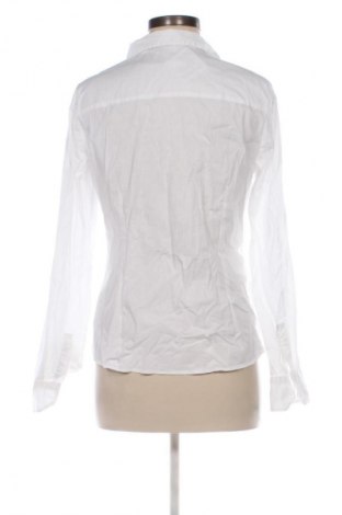 Γυναικείο πουκάμισο Calliope, Μέγεθος L, Χρώμα Λευκό, Τιμή 11,99 €
