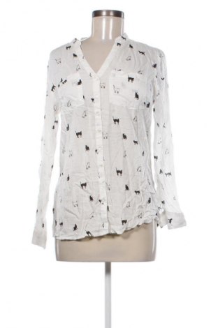 Γυναικείο πουκάμισο Gina, Μέγεθος S, Χρώμα Πολύχρωμο, Τιμή 15,99 €