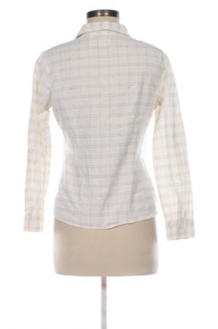 Дамска риза M&Co., Размер M, Цвят Многоцветен, Цена 5,62 €