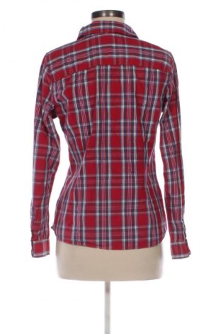 Damenbluse Montego, Größe M, Farbe Mehrfarbig, Preis € 23,79