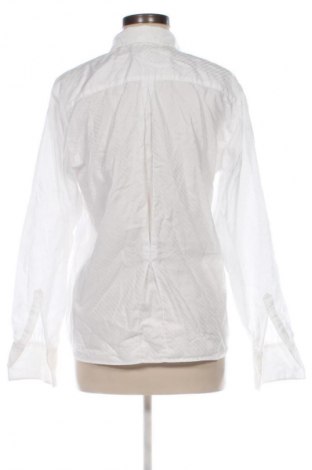 Dámská košile  Unbranded, Velikost L, Barva Krémová, Cena  289,00 Kč