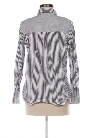 Dámská košile  Zara, Velikost M, Barva Vícebarevné, Cena  239,00 Kč