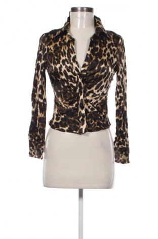 Damenbluse Zara, Größe S, Farbe Mehrfarbig, Preis € 10,99