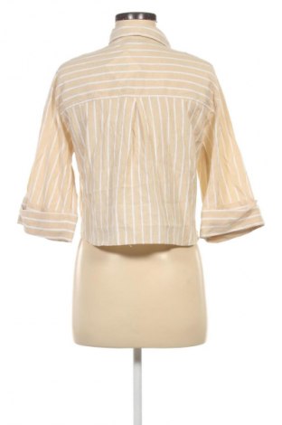 Damenbluse Zara, Größe M, Farbe Mehrfarbig, Preis € 9,99