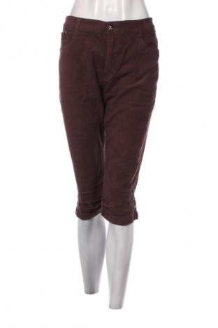 Pantaloni de velvet de femei Sunbird, Mărime XL, Culoare Maro, Preț 28,99 Lei