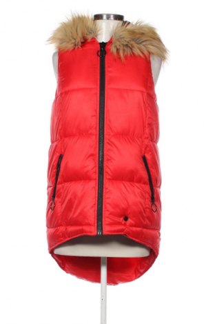 Γυναικείο γιλέκο Diverse, Μέγεθος S, Χρώμα Κόκκινο, Τιμή 29,99 €