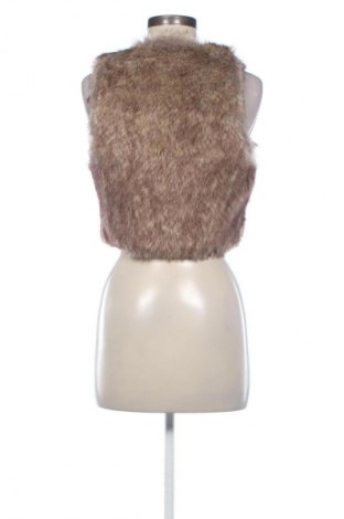 Γυναικείο γιλέκο Fishbone, Μέγεθος S, Χρώμα Πολύχρωμο, Τιμή 9,99 €