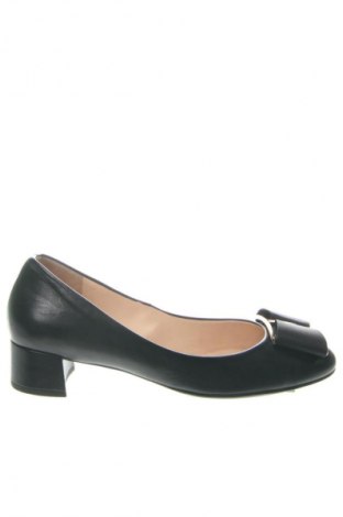 Γυναικεία παπούτσια Hogl, Μέγεθος 37, Χρώμα Μαύρο, Τιμή 134,99 €