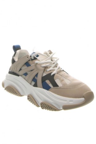 Dámské boty  Steve Madden, Velikost 40, Barva Vícebarevné, Cena  1 429,00 Kč