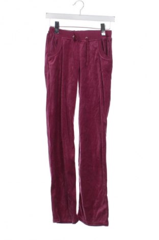 Damenhose Blue Motion, Größe XS, Farbe Rot, Preis 7,99 €