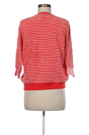 Damski sweter Xandres, Rozmiar M, Kolor Kolorowy, Cena 10,99 zł