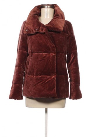 Geacă de femei Massimo Dutti, Mărime XS, Culoare Maro, Preț 309,99 Lei