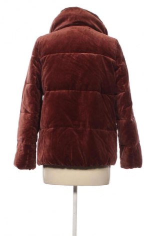 Geacă de femei Massimo Dutti, Mărime XS, Culoare Maro, Preț 309,99 Lei