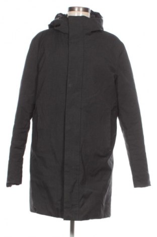 Damenjacke Paul Taylor, Größe M, Farbe Schwarz, Preis € 8,99