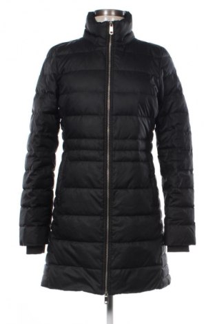 Damenjacke Tommy Hilfiger, Größe XS, Farbe Schwarz, Preis € 92,99