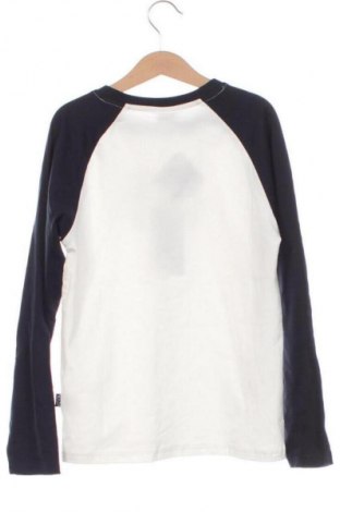 Detská blúzka  Ativo Kids, Veľkosť 9-10y/ 140-146 cm, Farba Viacfarebná, Cena  30,25 €