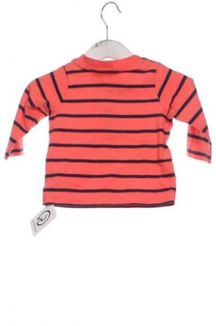 Kinder Shirt Just One, Größe 6-9m/ 68-74 cm, Farbe Mehrfarbig, Preis 6,00 €