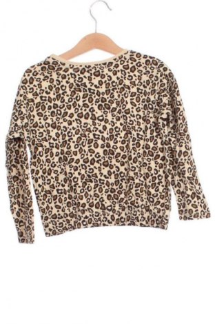 Detská blúzka  Terranova, Veľkosť 3-4y/ 104-110 cm, Farba Viacfarebná, Cena  1,95 €