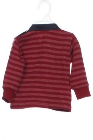 Kinder Shirt Unbranded, Größe 2-3m/ 56-62 cm, Farbe Mehrfarbig, Preis 6,00 €