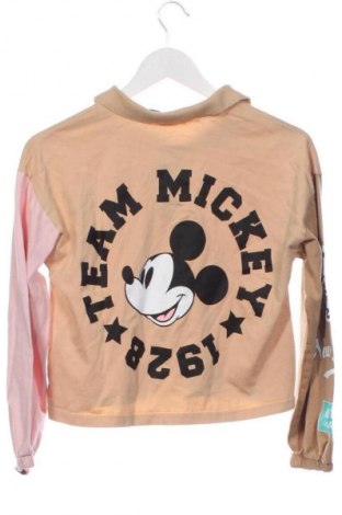 Detská blúzka  Zara, Veľkosť 13-14y/ 164-168 cm, Farba Viacfarebná, Cena  2,95 €