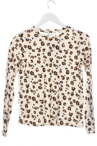Detská blúzka  Zara, Veľkosť 13-14y/ 164-168 cm, Farba Viacfarebná, Cena  7,95 €