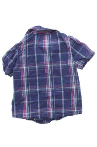 Kinderhemd Mexx, Größe 12-18m/ 80-86 cm, Farbe Mehrfarbig, Preis € 2,99