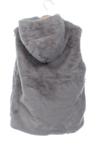 Παιδικό γιλέκο Country Road, Μέγεθος 10-11y/ 146-152 εκ., Χρώμα Γκρί, Τιμή 16,99 €