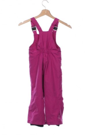 Detský overal pre zimné športy Lupilu, Veľkosť 2-3y/ 98-104 cm, Farba Ružová, Cena  18,95 €