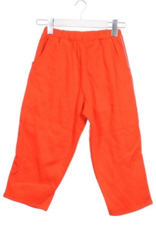Dziecięce spodnie sportowe Next, Rozmiar 5-6y/ 116-122 cm, Kolor Pomarańczowy, Cena 73,99 zł