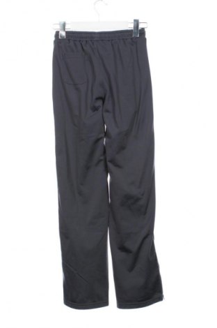 Dziecięce spodnie sportowe PUMA, Rozmiar 11-12y/ 152-158 cm, Kolor Szary, Cena 50,99 zł