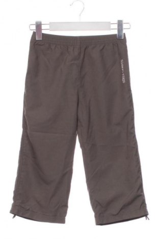 Dziecięce spodnie sportowe TCM, Rozmiar 6-7y/ 122-128 cm, Kolor Zielony, Cena 43,99 zł