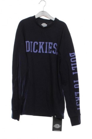 Pánské tričko  Dickies, Velikost XS, Barva Modrá, Cena  431,00 Kč