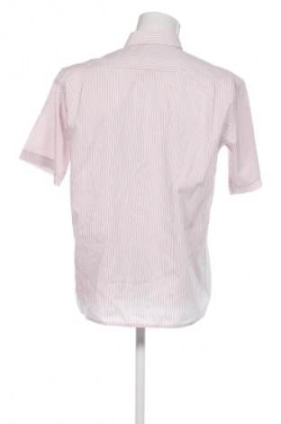 Pánská košile  Eterna, Velikost L, Barva Vícebarevné, Cena  419,00 Kč