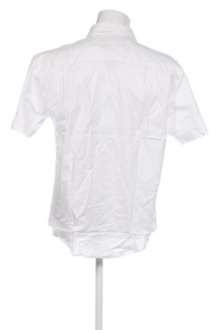 Pánská košile  Torelli, Velikost L, Barva Krémová, Cena  189,00 Kč