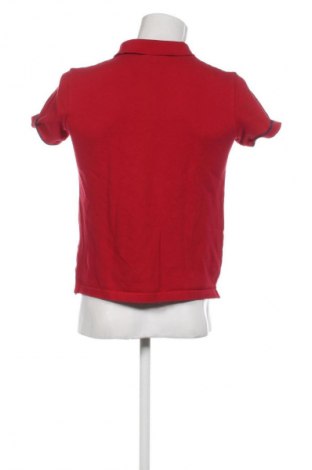 Herren T-Shirt Jacob Cohen, Größe S, Farbe Rot, Preis € 38,99