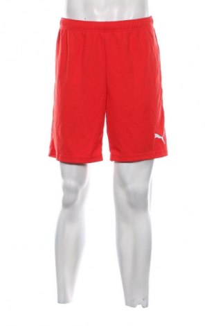 Pánské kraťasy PUMA, Velikost M, Barva Červená, Cena  279,00 Kč