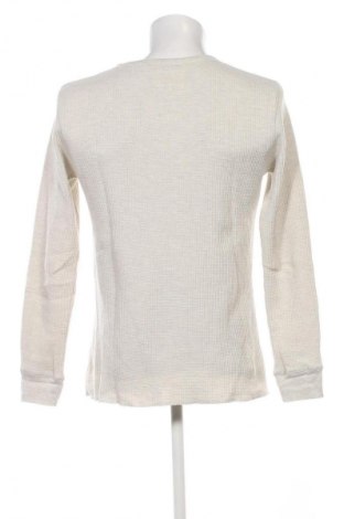 Pánský svetr  CedarWood State, Velikost XL, Barva Krémová, Cena  159,00 Kč