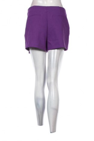 Sukně- kalhoty  Zara, Velikost M, Barva Fialová, Cena  309,00 Kč