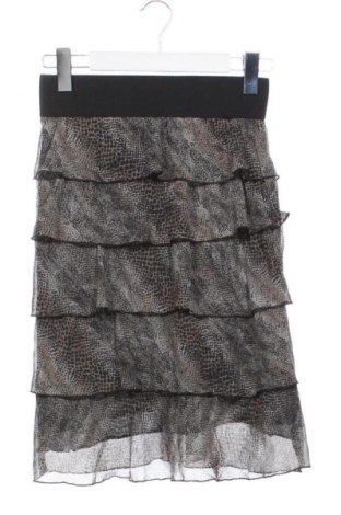 Fustă Cristina Gavioli, Mărime XS, Culoare Multicolor, Preț 74,99 Lei
