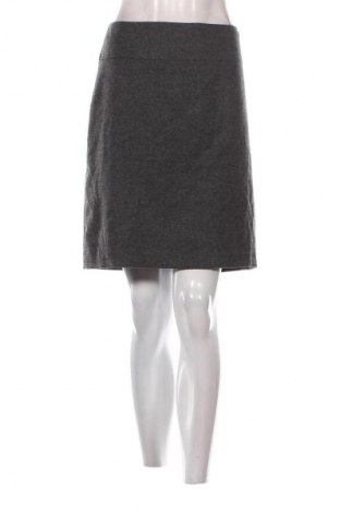 Φούστα Lissa Tossa, Μέγεθος XL, Χρώμα Γκρί, Τιμή 2,99 €
