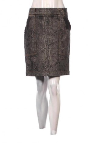 Fustă Rene Lezard, Mărime XL, Culoare Multicolor, Preț 53,99 Lei